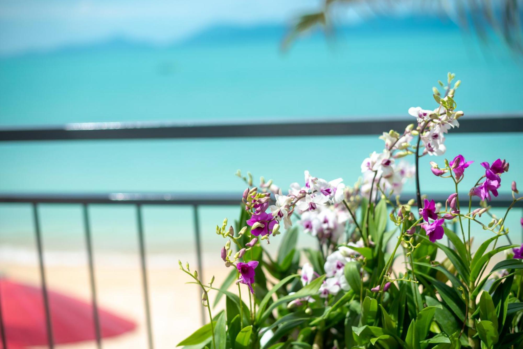 The Florist Resort Mae Nam Buitenkant foto